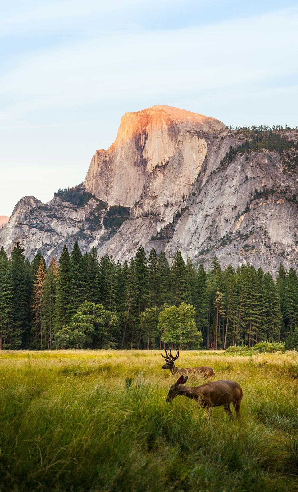 Half Dome at sunset from Yosemite Valley